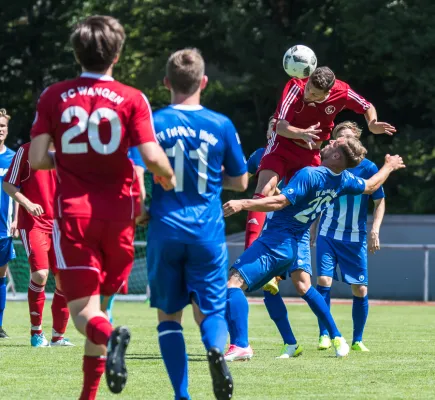 Jubiläumsturnier 2017 // Fotos Florian Wolf