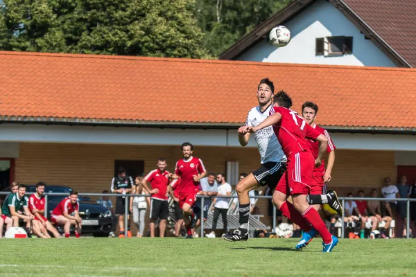 Jubiläumsturnier 2017 // Fotos Florian Wolf