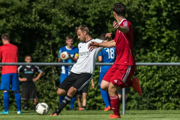 Jubiläumsturnier 2017 // Fotos Florian Wolf