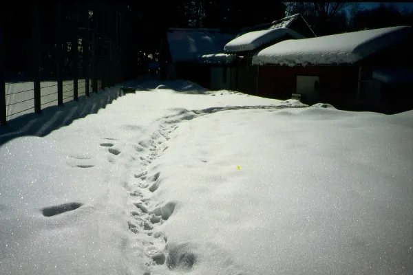 110 Jahre FC Lindenberg